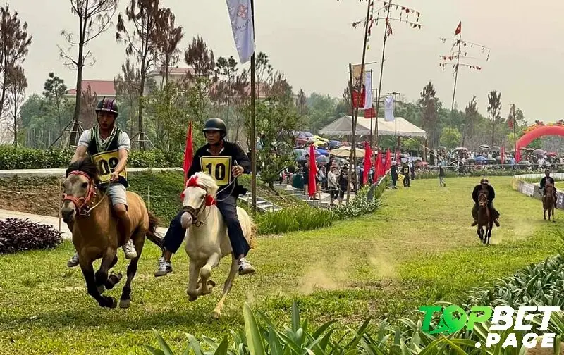 Chiến lược và mẹo để chiến thắng đua ngựa Shanrila Mường Lò