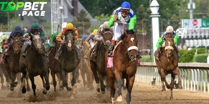 Đua ngựa Kentucky Derby – hay còn gọi là “Run for the Roses” – là cuộc tranh tài 1¼ dặm đầy kịch tính, thường diễn ra vào thứ Bảy đầu tháng 5 hàng năm
