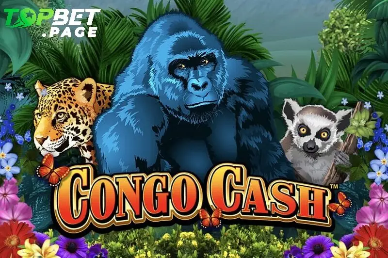 Giới thiệu tổng quan về Congo Cash Topbet