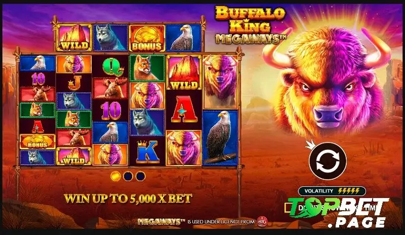 Hướng dẫn chơi Buffalo King Topbet