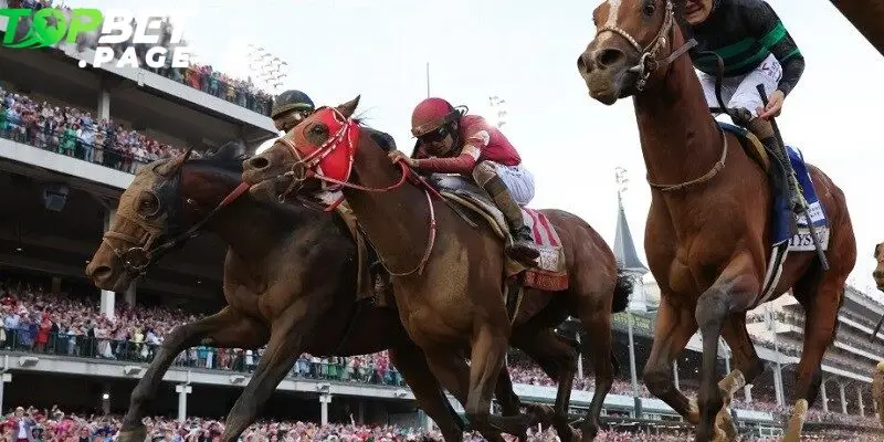 Topbet mang đến trải nghiệm cá cược Đua ngựa Preakness vượt trội nhờ sự đầu tư vào thông tin, tỷ lệ cược và dịch vụ người chơi